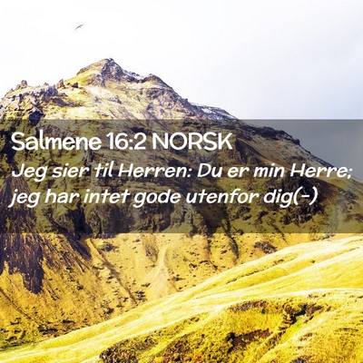 Picture 02 - Salmene 16:2 NORSK - Jeg sier til Herren: Du er min Herre; jeg har - Bible Verse Picture