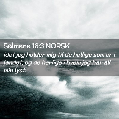 Picture 02 - Salmene 16:3 NORSK - idet jeg holder mig til de hellige som er i - Bible Verse Picture