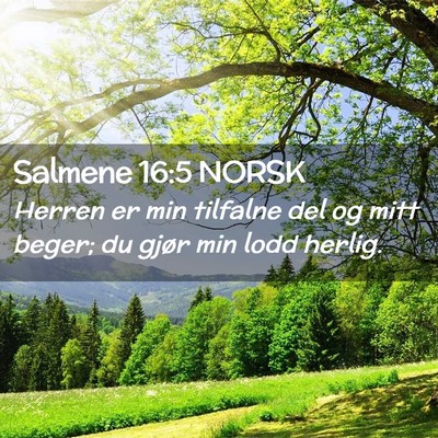 Picture 02 - Salmene 16:5 NORSK - Herren er min tilfalne del og mitt beger; du - Bible Verse Picture