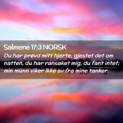 Picture 02 - Salmene 17:3 NORSK - Du har prøvd mitt hjerte, gjestet det om natten, - Bible Verse Picture