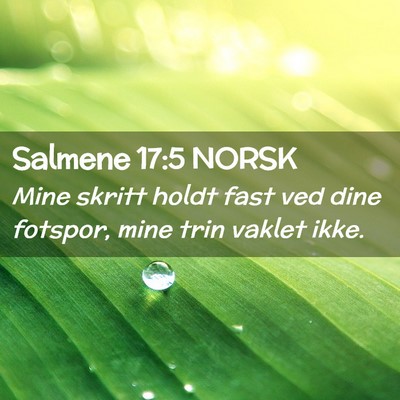 Picture 02 - Salmene 17:5 NORSK - Mine skritt holdt fast ved dine fotspor, mine - Bible Verse Picture