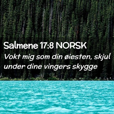 Picture 02 - Salmene 17:8 NORSK - Vokt mig som din øiesten, skjul under dine - Bible Verse Picture