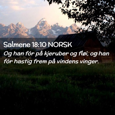 Picture 02 - Salmene 18:10 NORSK - Og han fór på kjeruber og fløi, og han fór - Bible Verse Picture