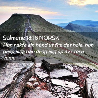 Picture 02 - Salmene 18:16 NORSK - Han rakte sin hånd ut fra det høie, han grep - Bible Verse Picture