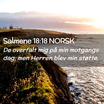 Picture 02 - Salmene 18:18 NORSK - De overfalt mig på min motgangs dag; men Herren - Bible Verse Picture