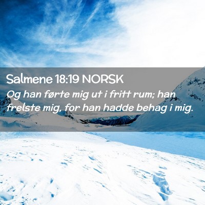 Picture 02 - Salmene 18:19 NORSK - Og han førte mig ut i fritt rum; han frelste - Bible Verse Picture