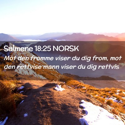 Picture 02 - Salmene 18:25 NORSK - Mot den fromme viser du dig from, mot den - Bible Verse Picture