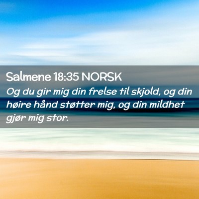 Picture 02 - Salmene 18:35 NORSK - Og du gir mig din frelse til skjold, og din - Bible Verse Picture