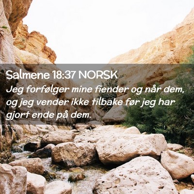 Picture 02 - Salmene 18:37 NORSK - Jeg forfølger mine fiender og når dem, og jeg - Bible Verse Picture