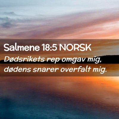 Picture 02 - Salmene 18:5 NORSK - Dødsrikets rep omgav mig, dødens snarer - Bible Verse Picture