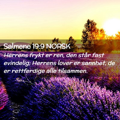 Picture 02 - Salmene 19:9 NORSK - Herrens frykt er ren, den står fast evindelig; - Bible Verse Picture