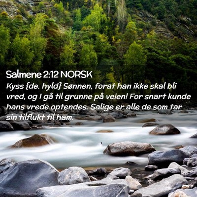 Picture 02 - Salmene 2:12 NORSK - Kyss {de. hyld} Sønnen, forat han ikke skal bli - Bible Verse Picture