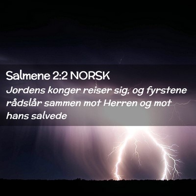 Picture 02 - Salmene 2:2 NORSK - Jordens konger reiser sig, og fyrstene rådslår - Bible Verse Picture