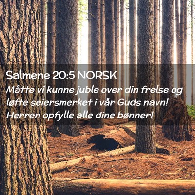 Picture 02 - Salmene 20:5 NORSK - Måtte vi kunne juble over din frelse og løfte - Bible Verse Picture
