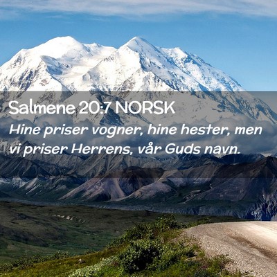Picture 02 - Salmene 20:7 NORSK - Hine priser vogner, hine hester, men vi priser - Bible Verse Picture