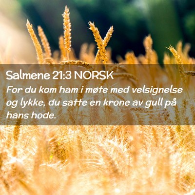 Picture 02 - Salmene 21:3 NORSK - For du kom ham i møte med velsignelse og lykke, - Bible Verse Picture