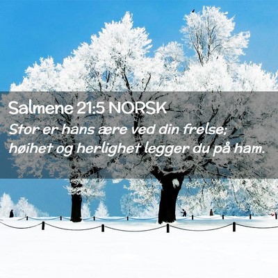 Picture 02 - Salmene 21:5 NORSK - Stor er hans ære ved din frelse; høihet og - Bible Verse Picture