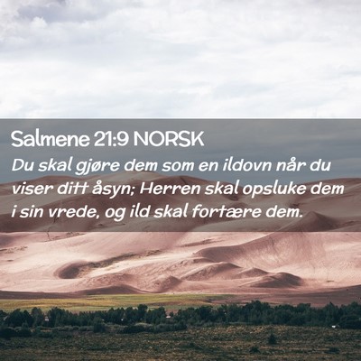Picture 02 - Salmene 21:9 NORSK - Du skal gjøre dem som en ildovn når du viser - Bible Verse Picture