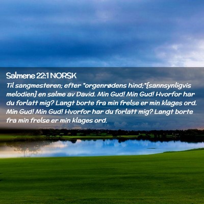 Picture 02 - Salmene 22:1 NORSK - Til sangmesteren; efter 