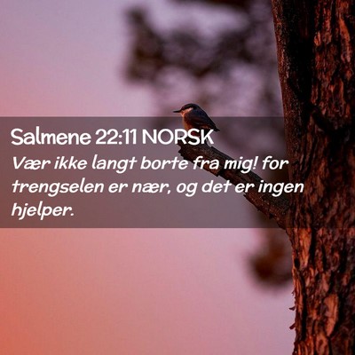 Picture 02 - Salmene 22:11 NORSK - Vær ikke langt borte fra mig! for trengselen er - Bible Verse Picture