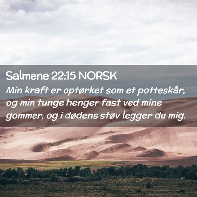Picture 02 - Salmene 22:15 NORSK - Min kraft er optørket som et potteskår, og min - Bible Verse Picture