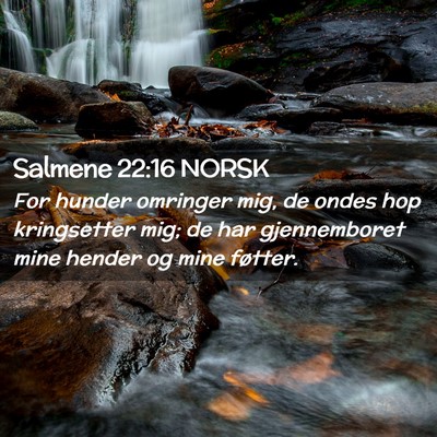 Picture 02 - Salmene 22:16 NORSK - For hunder omringer mig, de ondes hop kringsetter - Bible Verse Picture