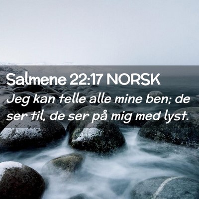 Picture 02 - Salmene 22:17 NORSK - Jeg kan telle alle mine ben; de ser til, de ser - Bible Verse Picture