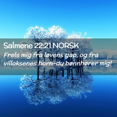 Picture 02 - Salmene 22:21 NORSK - Frels mig fra løvens gap, og fra villoksenes - Bible Verse Picture