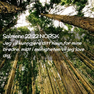 Picture 02 - Salmene 22:22 NORSK - Jeg vil kunngjøre ditt navn for mine brødre, - Bible Verse Picture