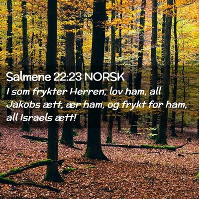 Picture 02 - Salmene 22:23 NORSK - I som frykter Herren, lov ham, all Jakobs ætt, - Bible Verse Picture