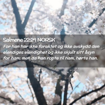 Picture 02 - Salmene 22:24 NORSK - For han har ikke foraktet og ikke avskydd den - Bible Verse Picture