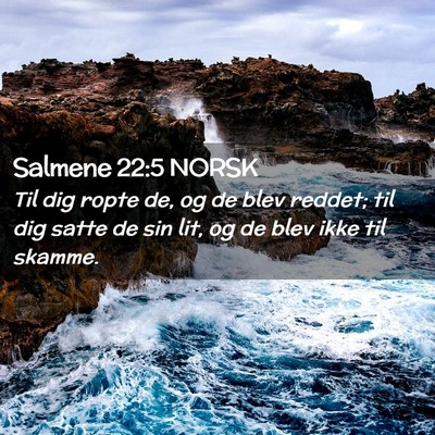 Picture 02 - Salmene 22:5 NORSK - Til dig ropte de, og de blev reddet; til dig - Bible Verse Picture