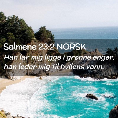 Picture 02 - Salmene 23:2 NORSK - Han lar mig ligge i grønne enger, han leder mig - Bible Verse Picture