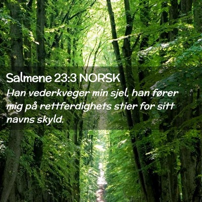 Picture 02 - Salmene 23:3 NORSK - Han vederkveger min sjel, han fører mig på - Bible Verse Picture