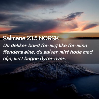 Picture 02 - Salmene 23:5 NORSK - Du dekker bord for mig like for mine fienders - Bible Verse Picture