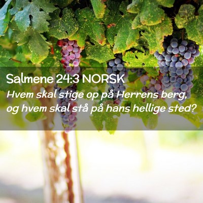 Picture 02 - Salmene 24:3 NORSK - Hvem skal stige op på Herrens berg, og hvem skal - Bible Verse Picture
