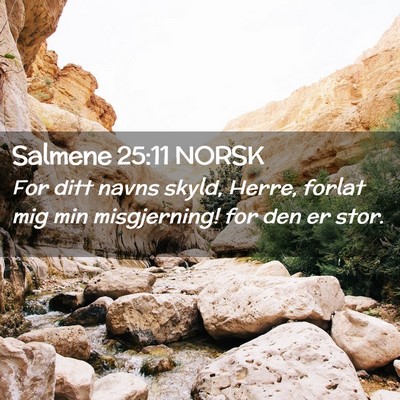 Picture 02 - Salmene 25:11 NORSK - For ditt navns skyld, Herre, forlat mig min - Bible Verse Picture