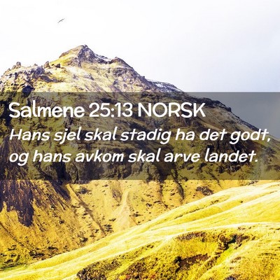 Picture 02 - Salmene 25:13 NORSK - Hans sjel skal stadig ha det godt, og hans avkom - Bible Verse Picture
