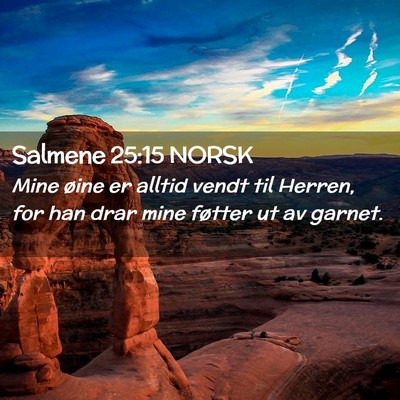Picture 02 - Salmene 25:15 NORSK - Mine øine er alltid vendt til Herren, for han - Bible Verse Picture