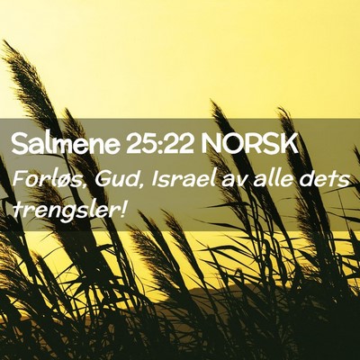 Picture 02 - Salmene 25:22 NORSK - Forløs, Gud, Israel av alle dets - Bible Verse Picture