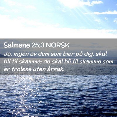 Picture 02 - Salmene 25:3 NORSK - Ja, ingen av dem som bier på dig, skal bli til - Bible Verse Picture