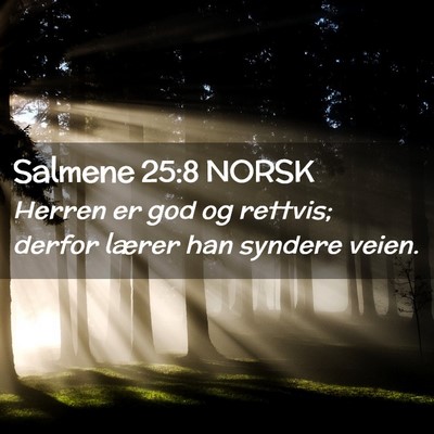 Picture 02 - Salmene 25:8 NORSK - Herren er god og rettvis; derfor lærer han - Bible Verse Picture