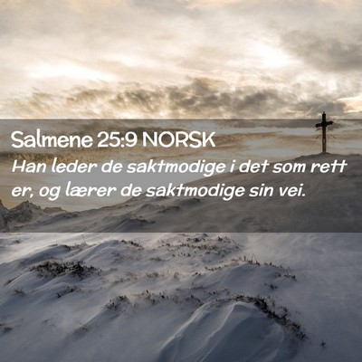 Picture 02 - Salmene 25:9 NORSK - Han leder de saktmodige i det som rett er, og - Bible Verse Picture