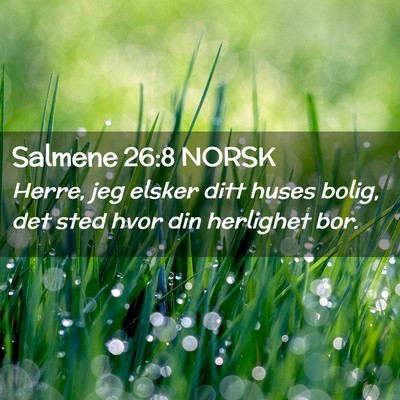 Picture 02 - Salmene 26:8 NORSK - Herre, jeg elsker ditt huses bolig, det sted hvor - Bible Verse Picture
