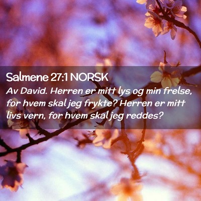Picture 02 - Salmene 27:1 NORSK - Av David. Herren er mitt lys og min frelse, for - Bible Verse Picture
