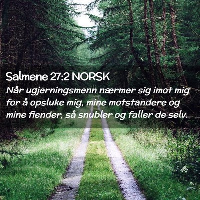 Picture 02 - Salmene 27:2 NORSK - Når ugjerningsmenn nærmer sig imot mig for å - Bible Verse Picture