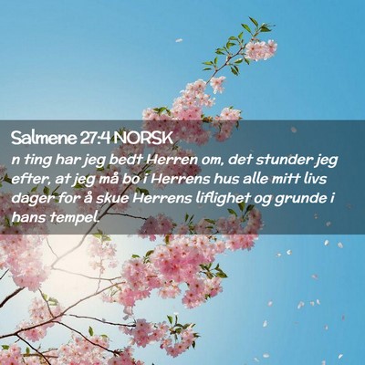 Picture 02 - Salmene 27:4 NORSK - n ting har jeg bedt Herren om, det stunder jeg - Bible Verse Picture