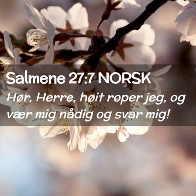 Picture 02 - Salmene 27:7 NORSK - Hør, Herre, høit roper jeg, og vær mig nådig - Bible Verse Picture