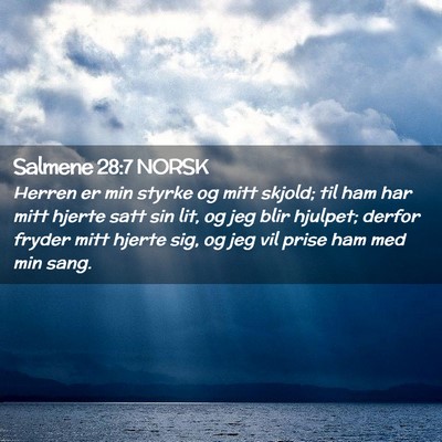 Picture 02 - Salmene 28:7 NORSK - Herren er min styrke og mitt skjold; til ham har - Bible Verse Picture