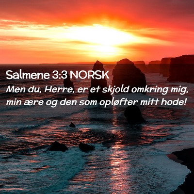 Picture 02 - Salmene 3:3 NORSK - Men du, Herre, er et skjold omkring mig, min ære - Bible Verse Picture